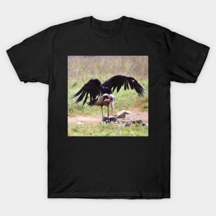 Marabou Stork Just Landing T-Shirt